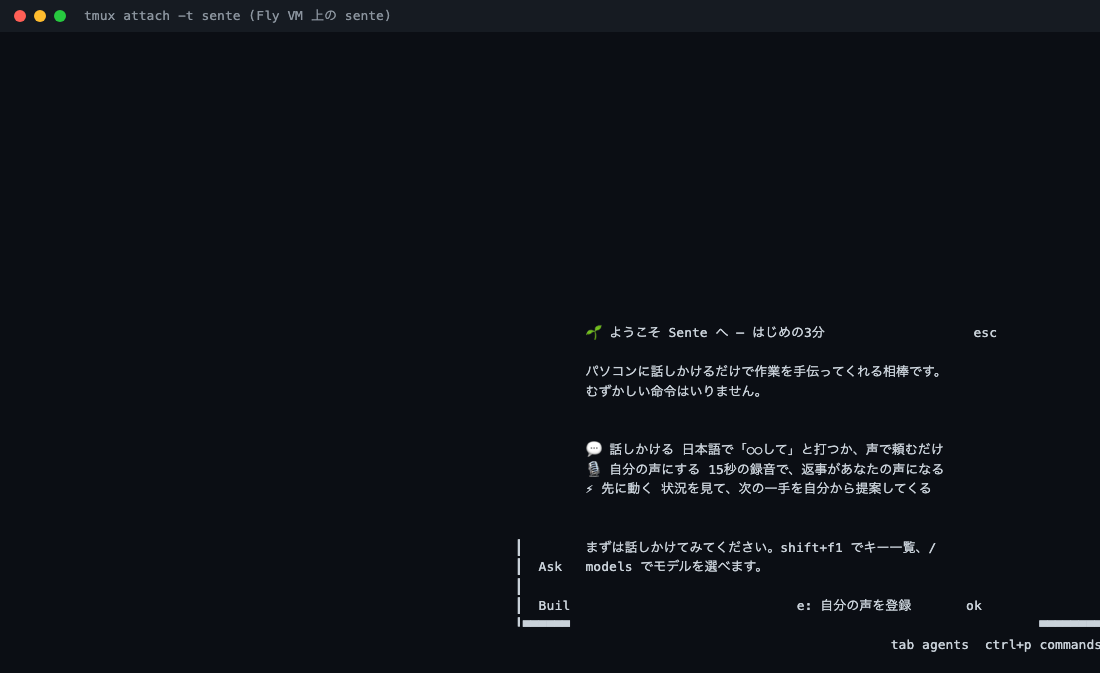 Fly VM 上で動いている sente の TUI 画面